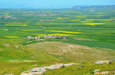 Kolbaşı Kayalık Alan Yerleşimi