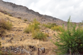 YUKARI ALIÇLI VILLAGE CEMETERY AREA