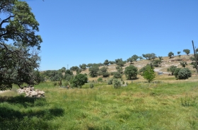 YOLAĞZI VILLAGE CEMETERY