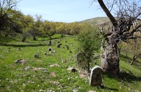 YOLÜSTÜ VILLAGE CEMETERY AREA