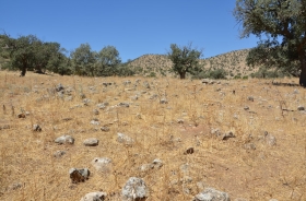 KIŞLAK VILLAGE CEMETERY AREA