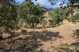 DEREİÇİ VILLAGE CEMETERY AREA