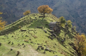 KALEYOLU VILLAGE CEMETERY AREA