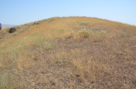 GUNDİK MOUND (YUMRUKAYA HAMLET)