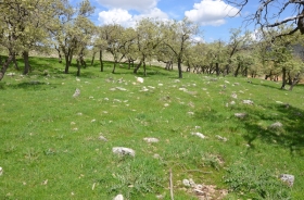 YAMANLAR VILLAGE ASSYRIAN CEMETERY AREA