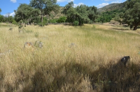 BAĞLICA VILLAGE CEMETERY AREA