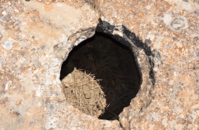 BAĞLICA VILLAGE CISTERNS