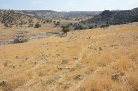 ARIK HAMLET CEMETERY AREA