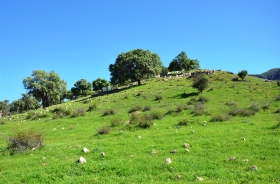 SAKLI VILLAGE CEMETERY AREA